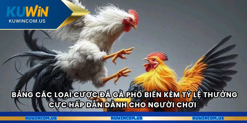  Bảng các loại cược đá gà phổ biến kèm tỷ lệ thưởng cực hấp dẫn dành cho người chơi 